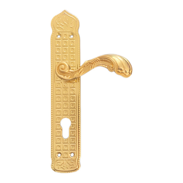gold door handle on backplate